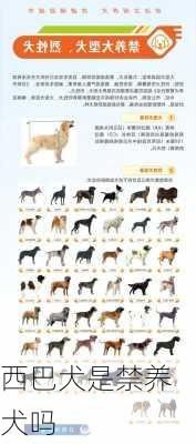 西巴犬是禁养犬吗